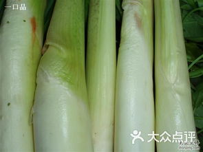 布吉農(nóng)產(chǎn)品批發(fā)市場(chǎng) 粵港澳大灣區(qū)“菜籃子”的樞紐與變遷